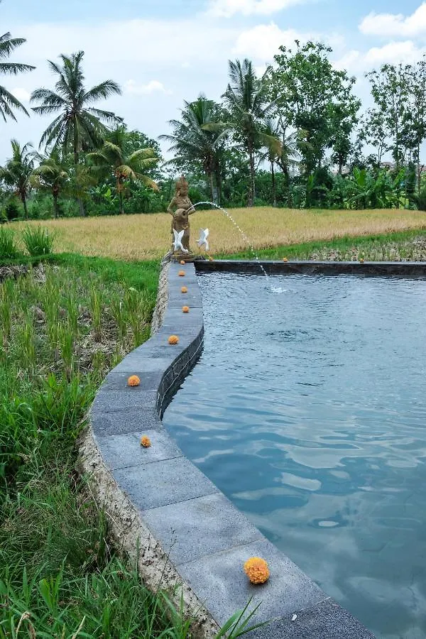 Kidem Ubud Villas 2*, Ubud (Bali)