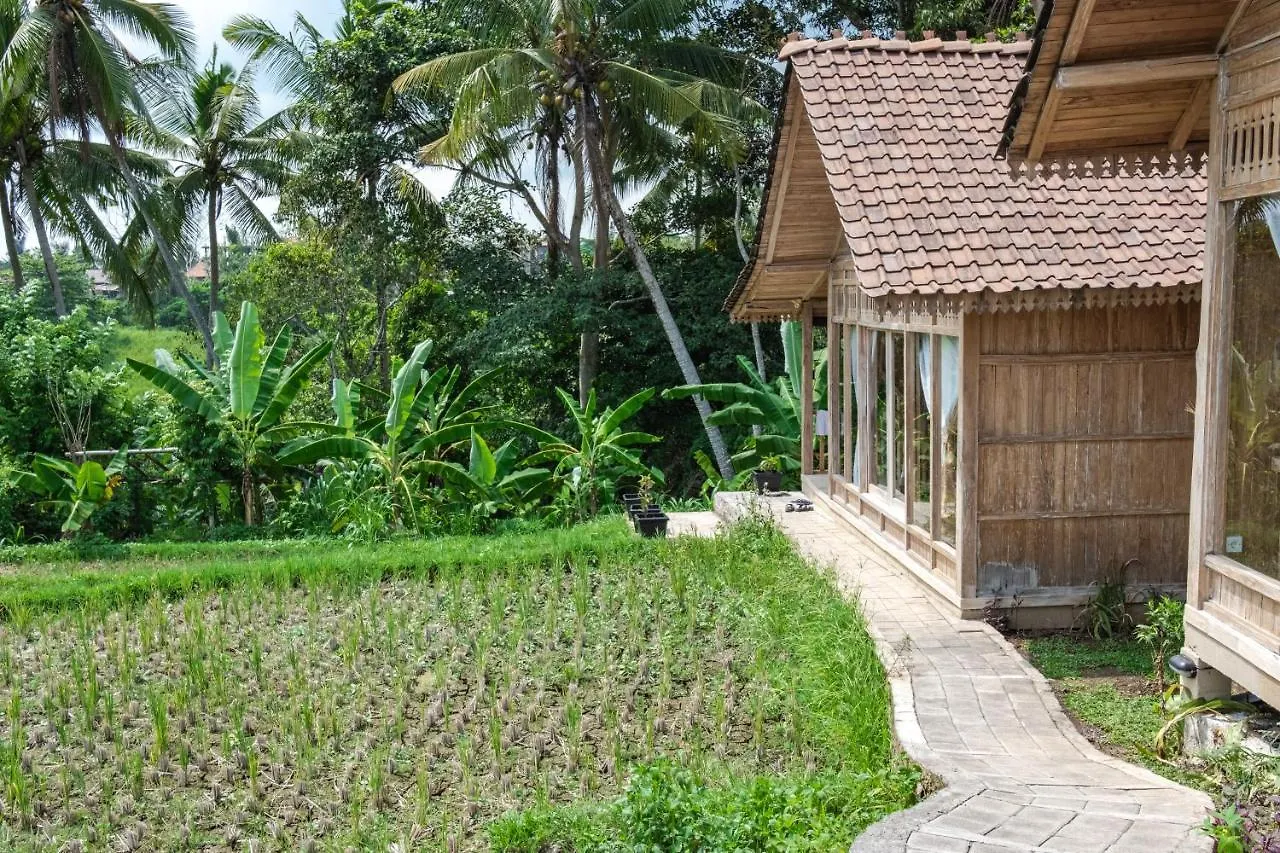 ** Guest house Kidem Ubud Villas Indonesia