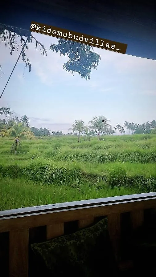 Kidem Ubud Villas